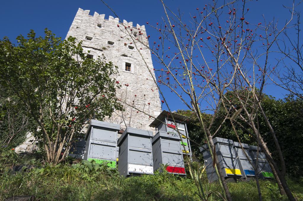 Apartmaji In Sobe Marija Jera Štanjel Exterior foto